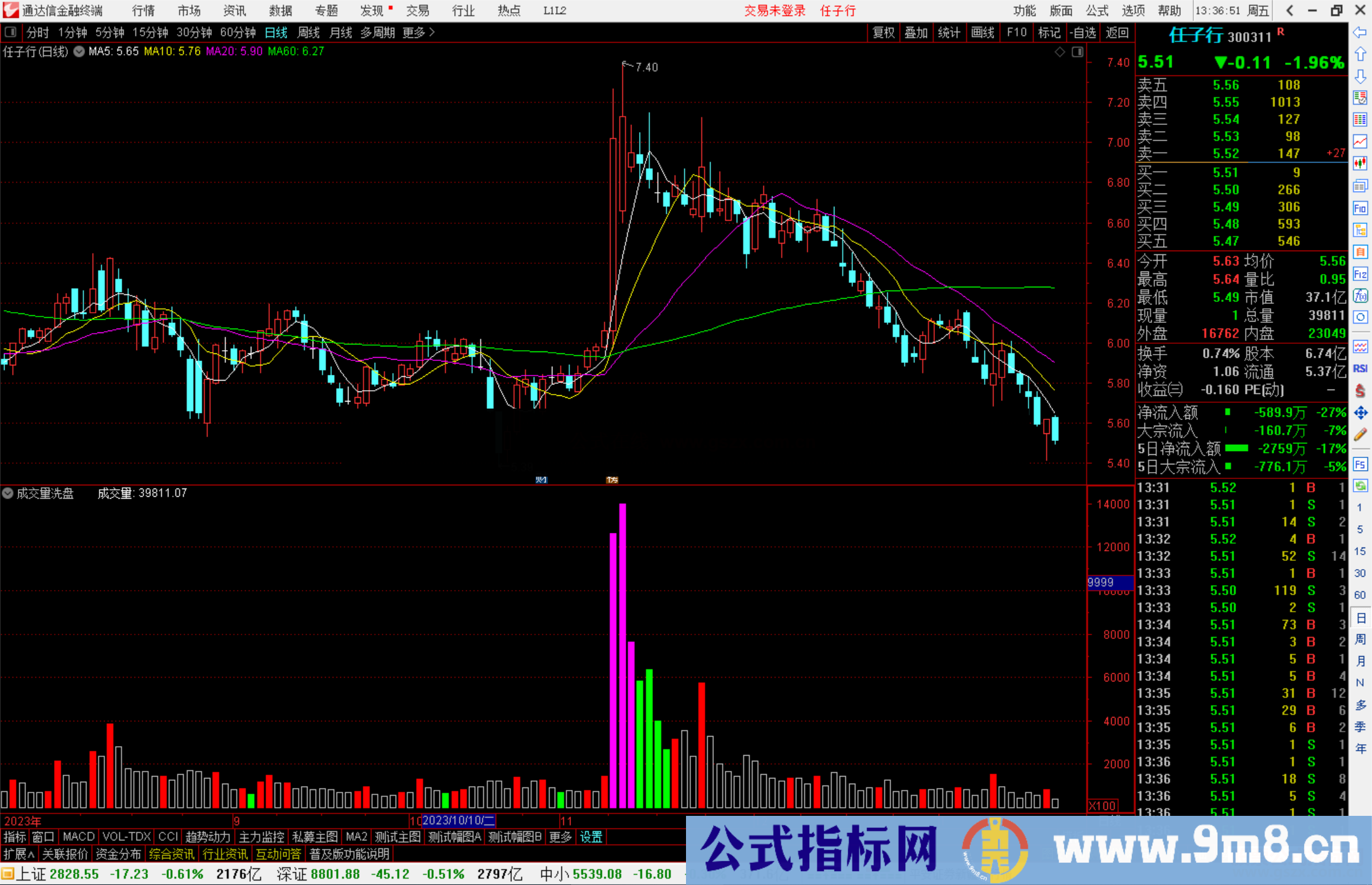 通达信成交量洗盘指标公式源码副图