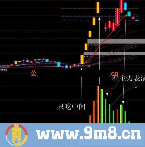 通达信MACD绝杀主力,擒牛绝密核武器,敢死队专用套装指标（价值30万）有使用方法