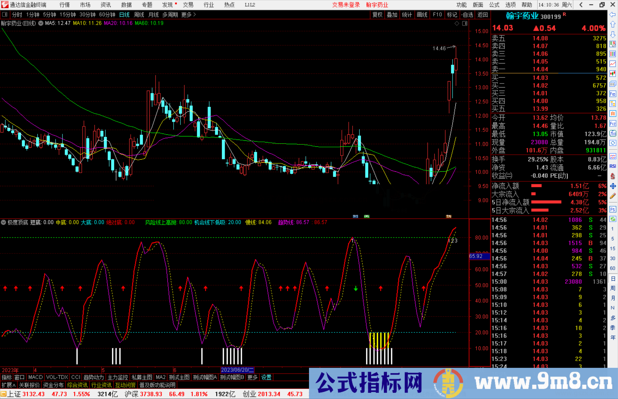 极度顶底（通达信指标 副图 源码 测试图）