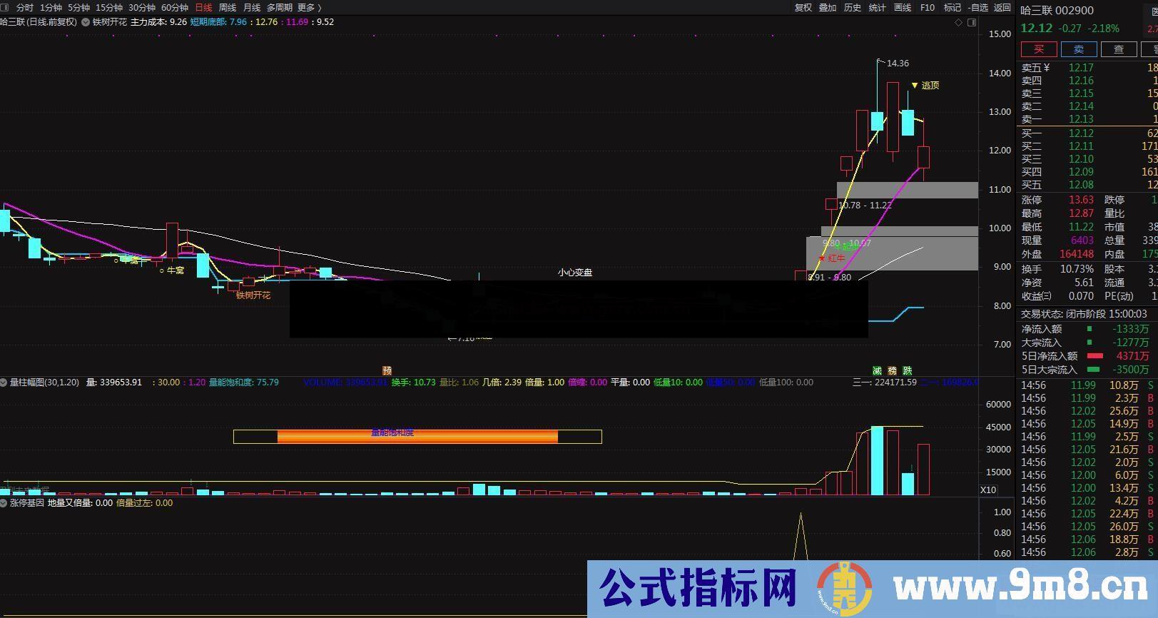 通达信涨停因基 信号出现后 必定有收获 副图