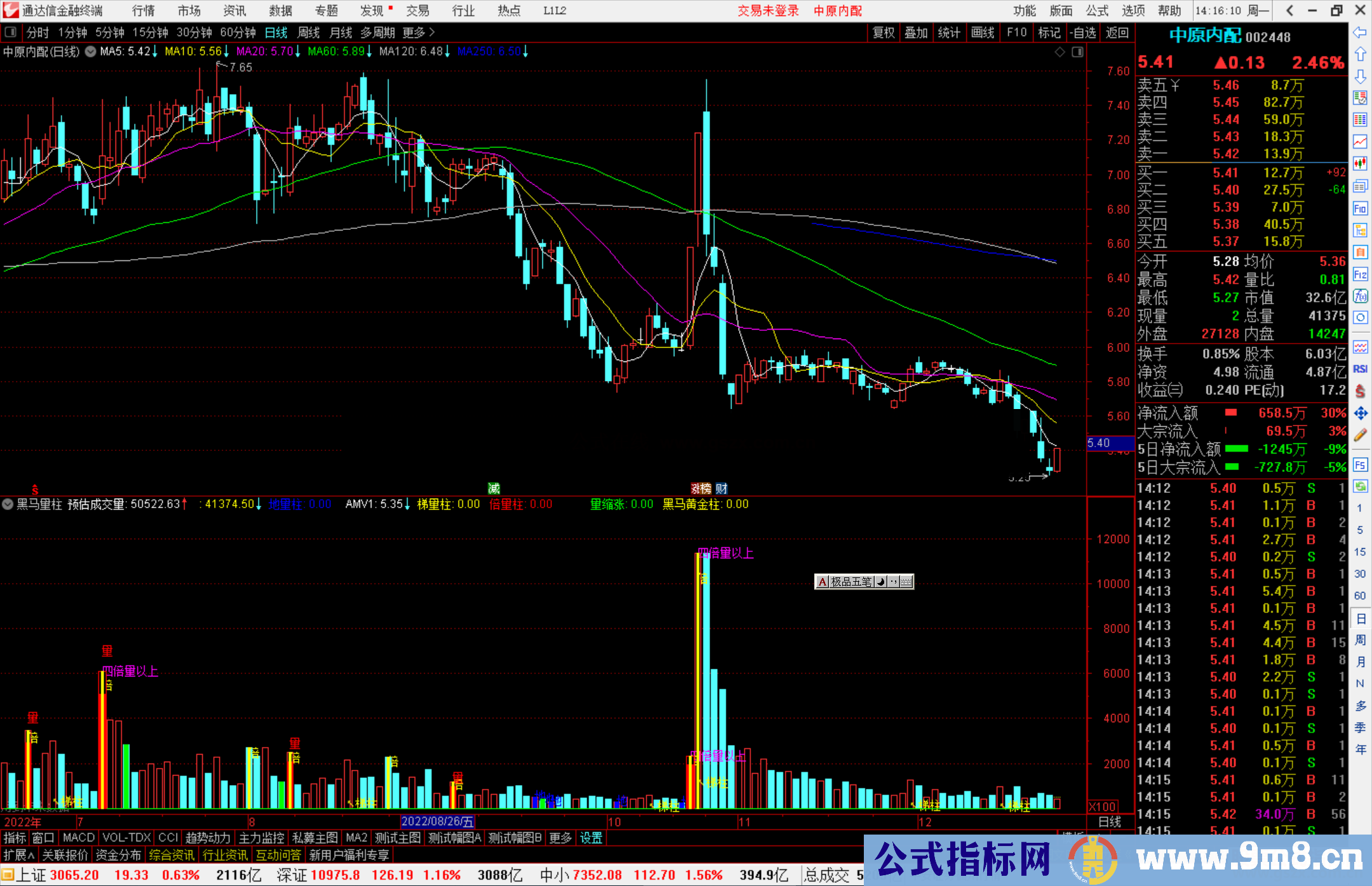 通达信黑马量柱指标公式源码副图