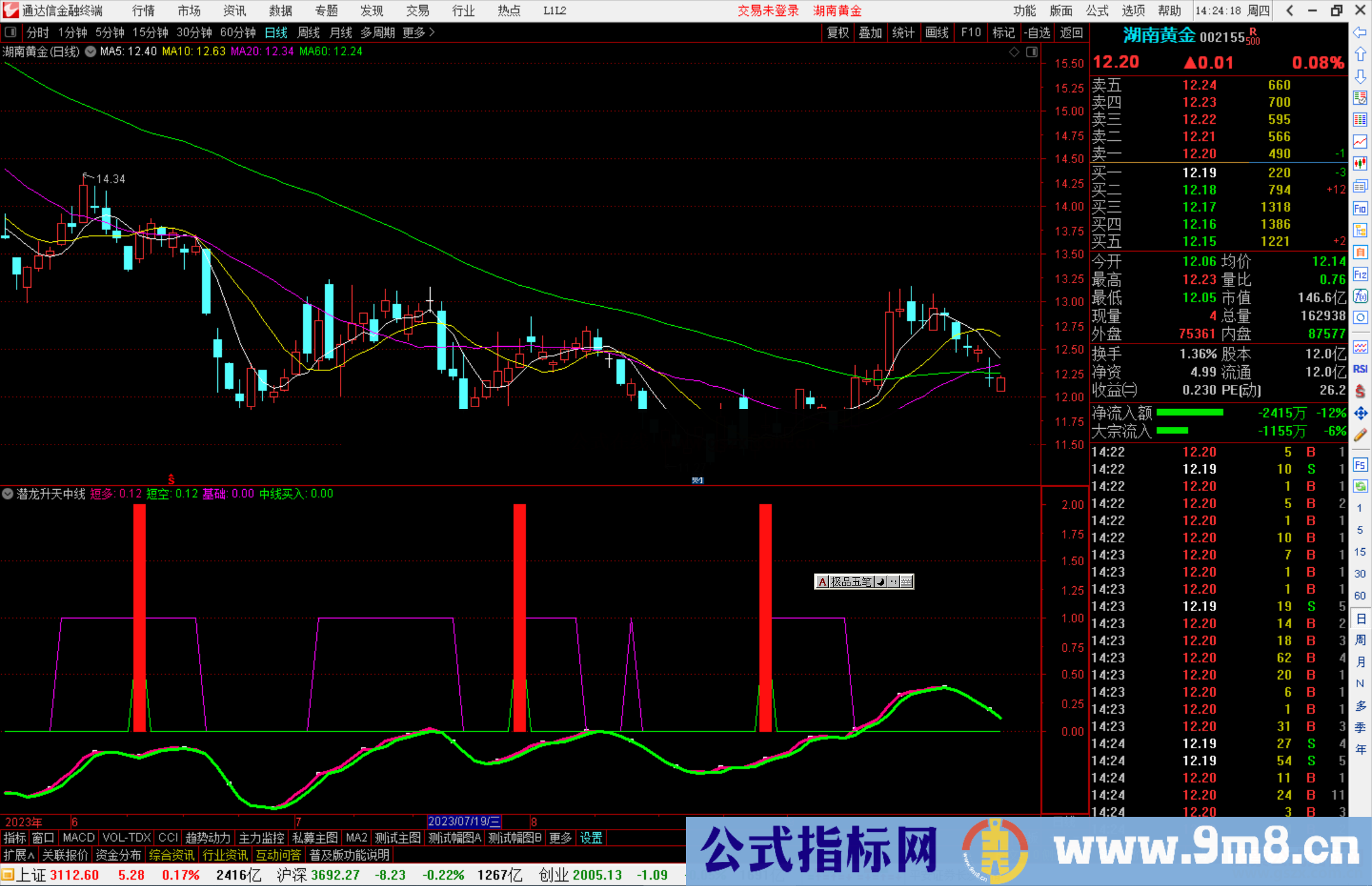 通达信潜龙升天中线指标公式源码副图