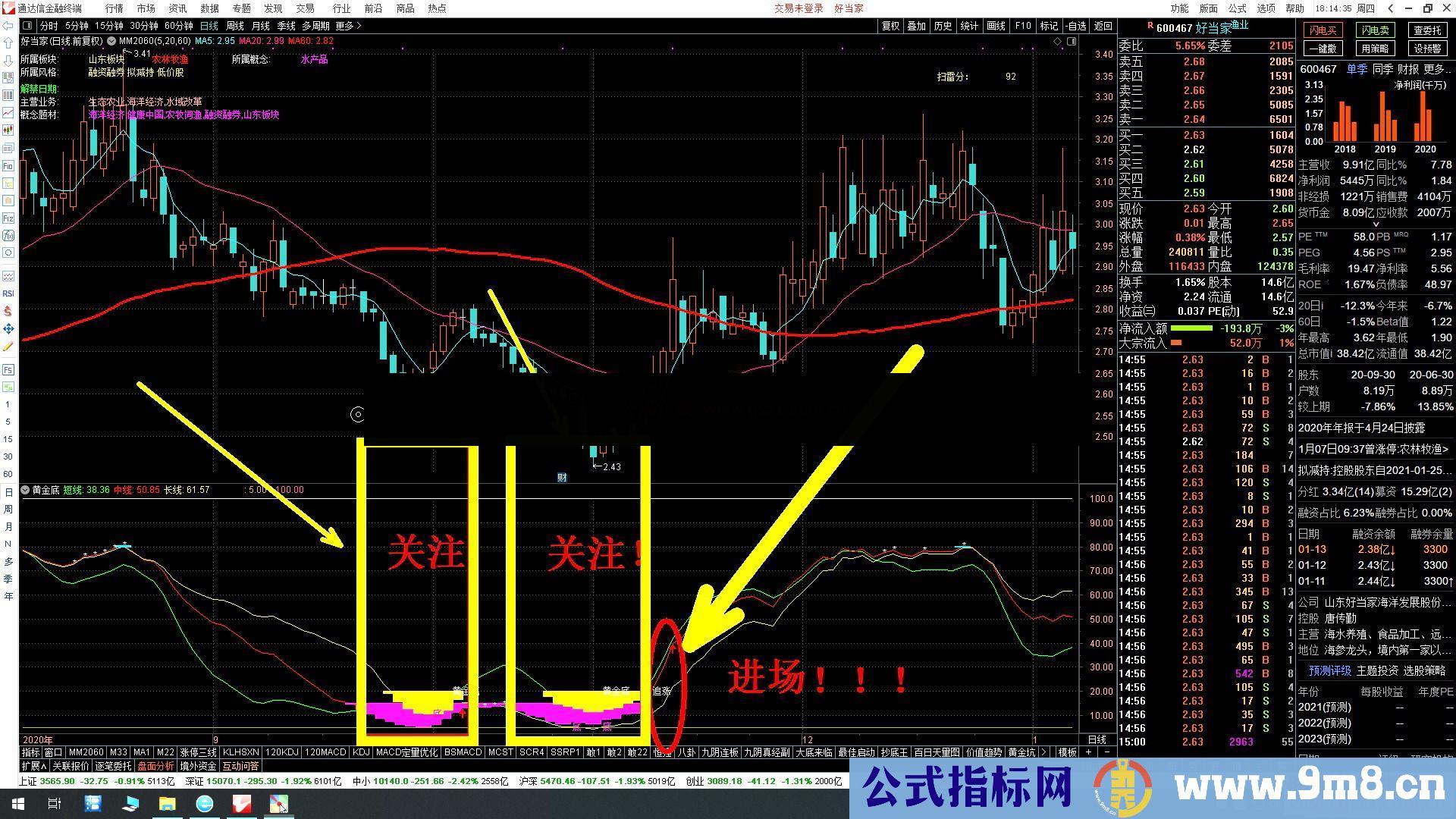 通达信重磅！黄金底副图指标 源码无未来 不漂移