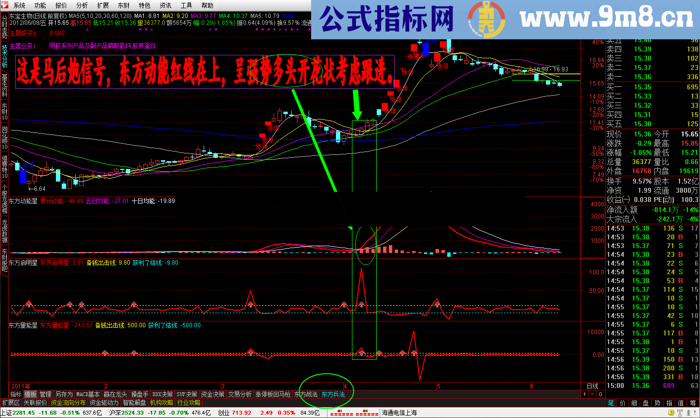 东方动能星 东方启明星伴侣副图指标