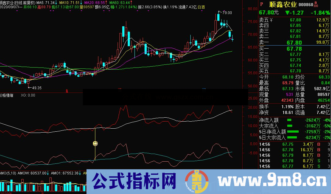 通达信价格情绪副图/选股源码贴图