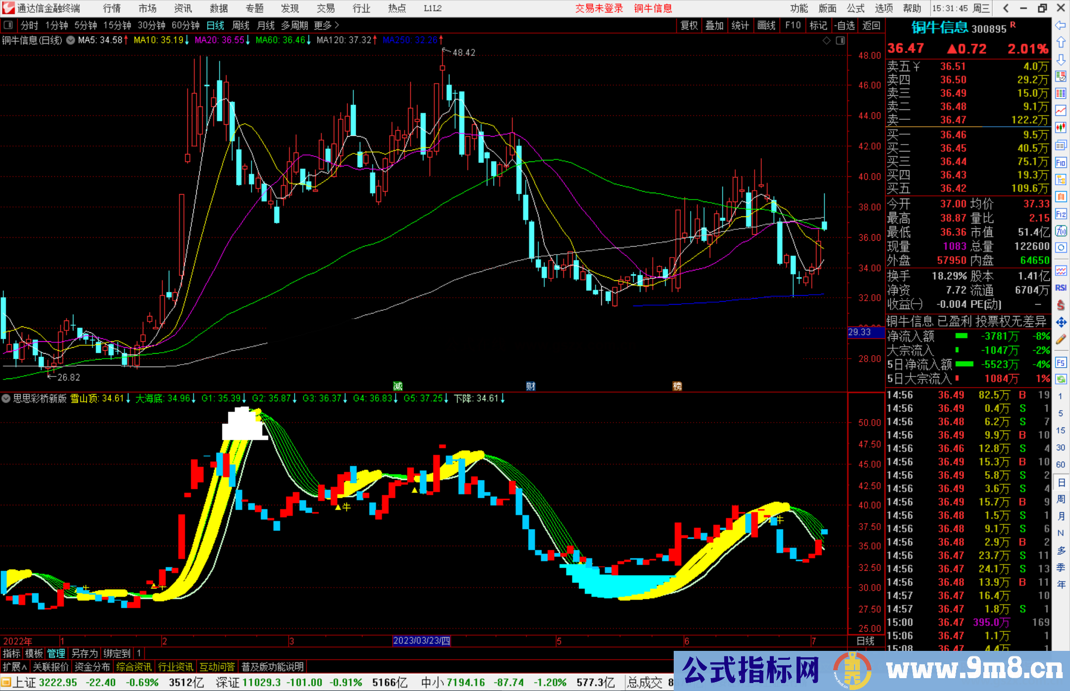 通达信思思彩桥新版副图+选股指标副图源码