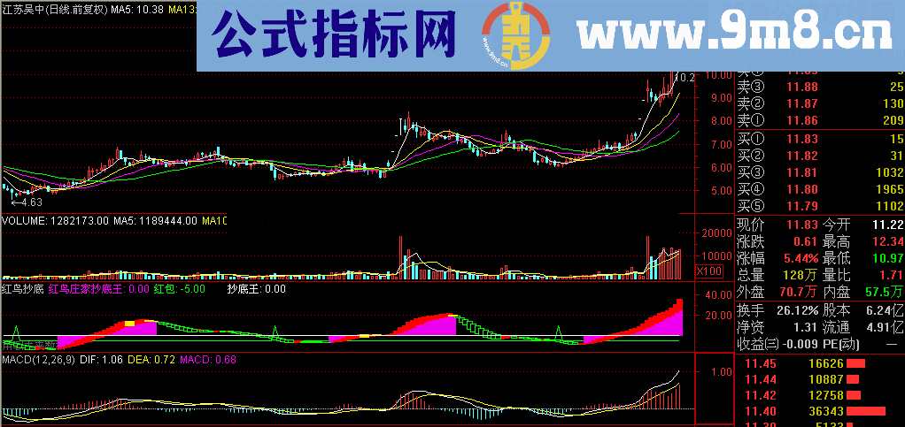 红鸟庄家抄底王（副图、源码、贴图）