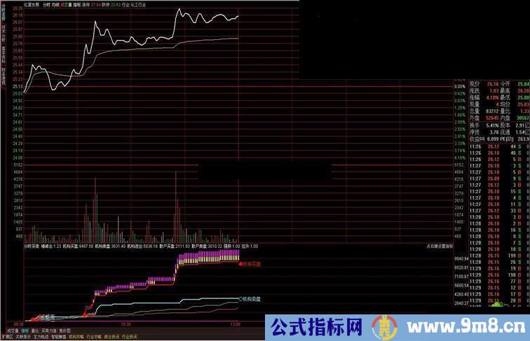 最牛的分时指标分时副图 说明 贴图