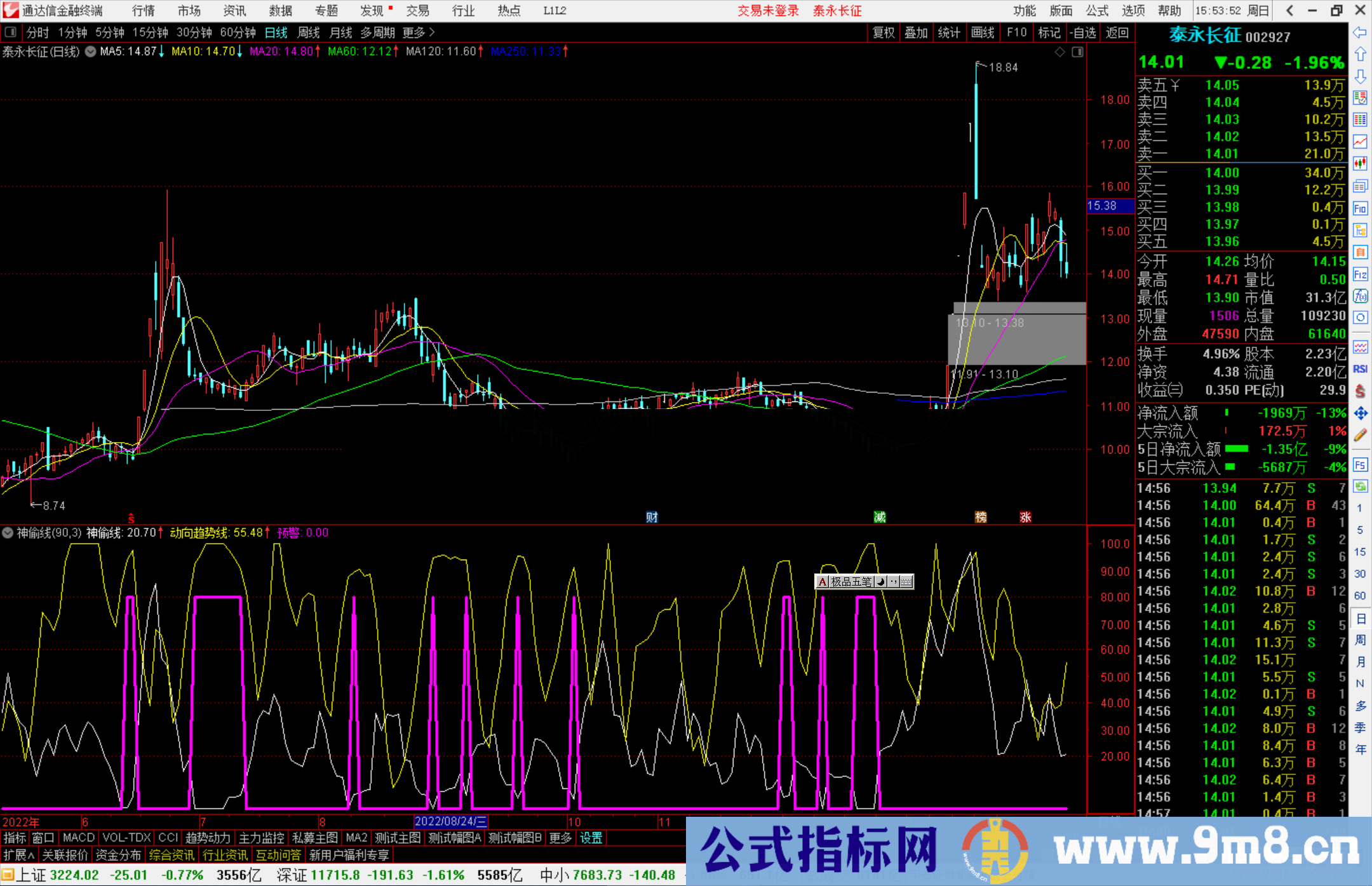 通达信神偷线副图指标源码