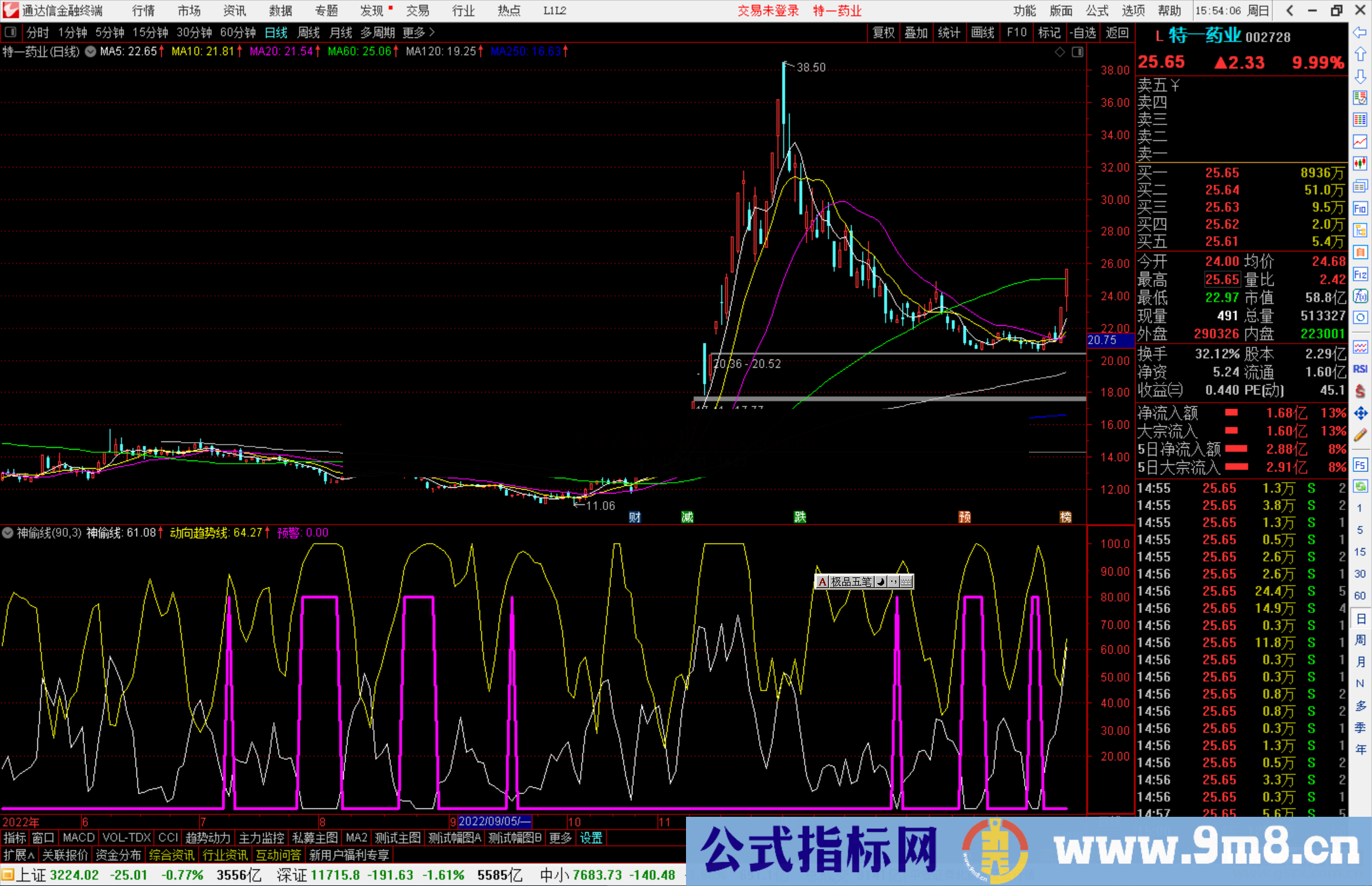 通达信神偷线副图指标源码