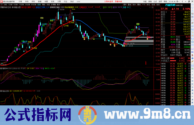 通达信筹码MACD副图指标公式不加密 无未来