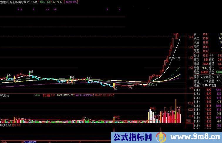 捕捉大黑马的好指标——黑马柱