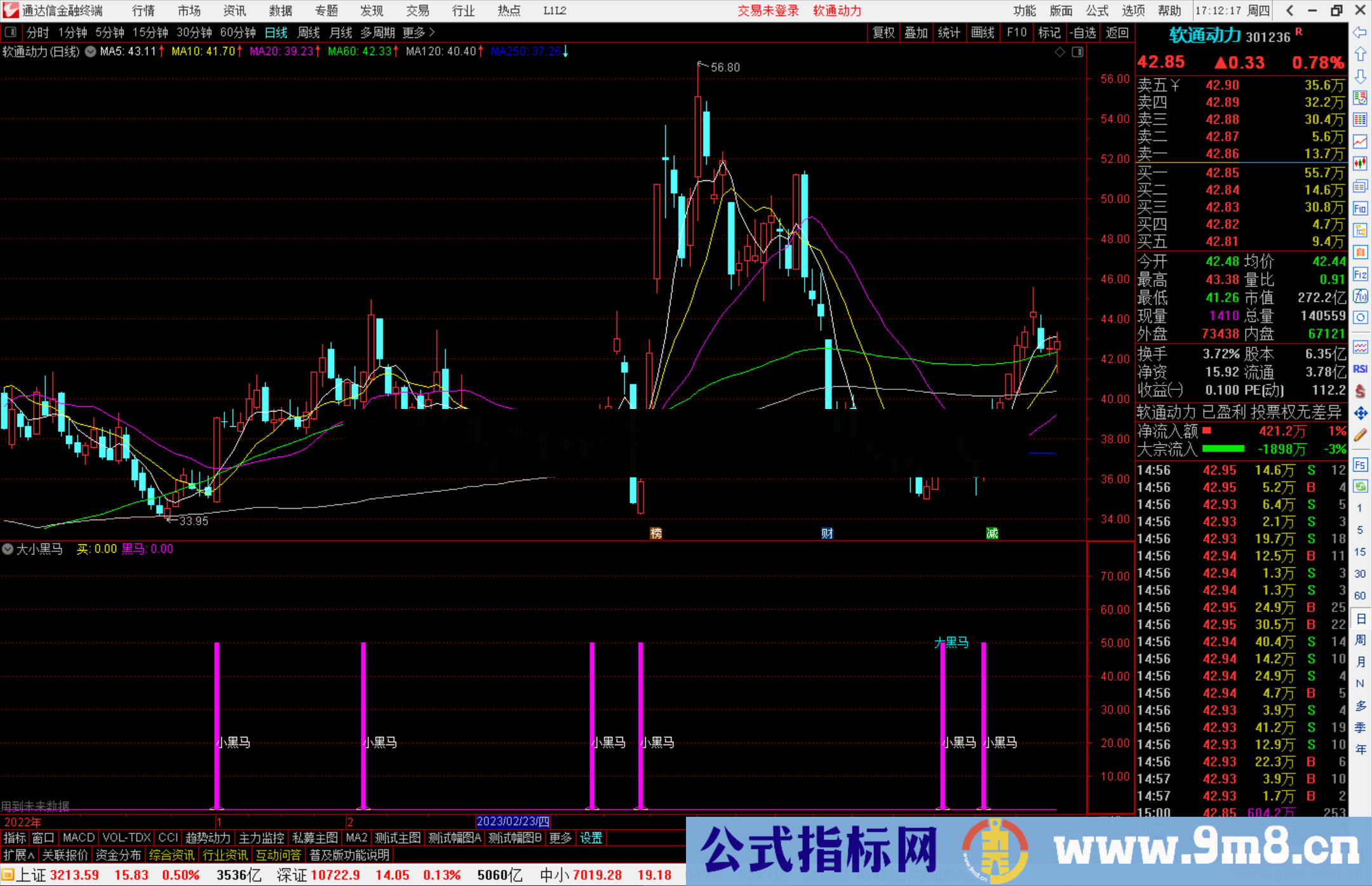 通达信 大小黑马指标公式源码副图