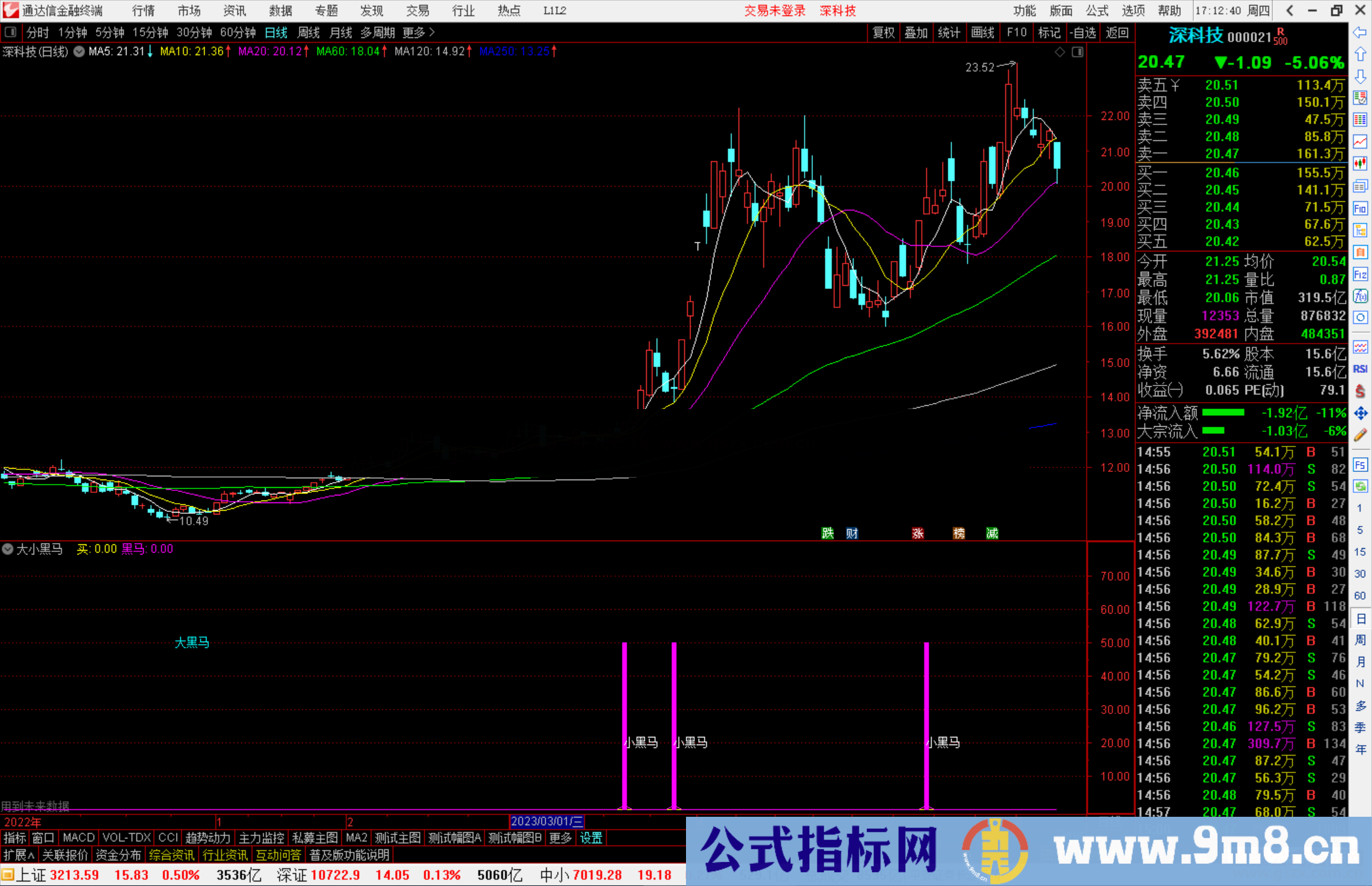 通达信 大小黑马指标公式源码副图