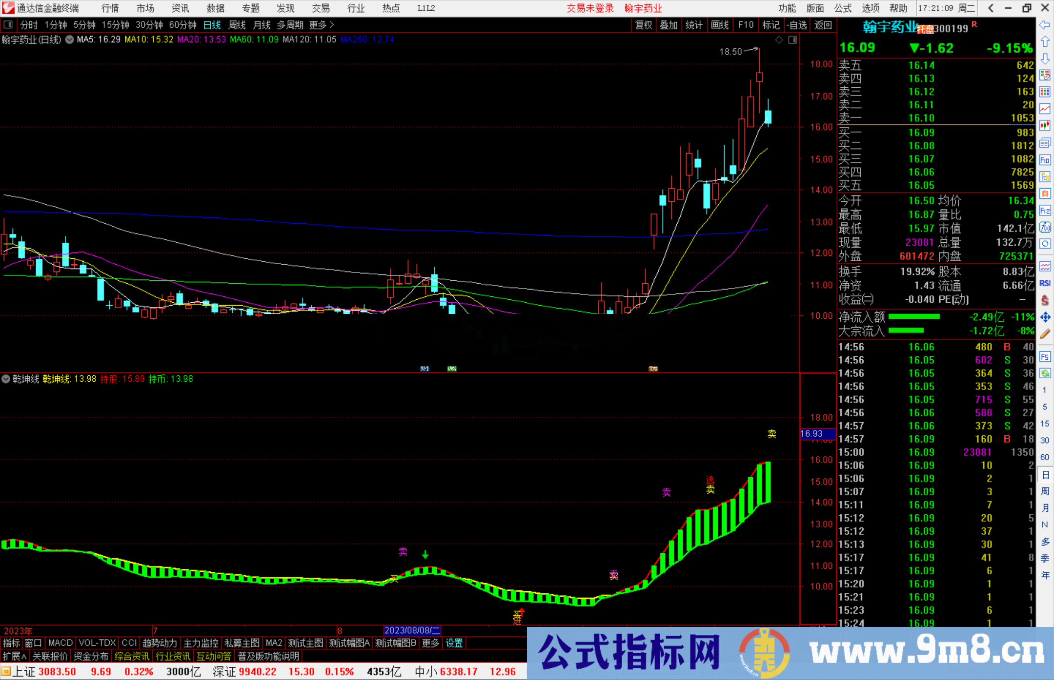 通达信乾坤组合，乾坤线 持股线 持币线指标副图源码