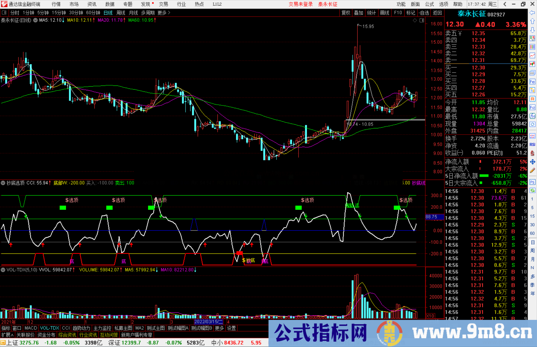 通达信抄底逃顶副图指标 看长做短精品 源码分享