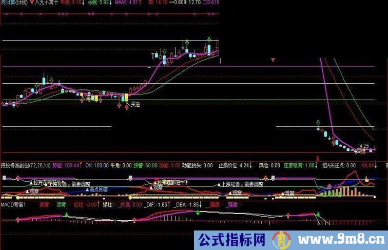通达信牛马线源码