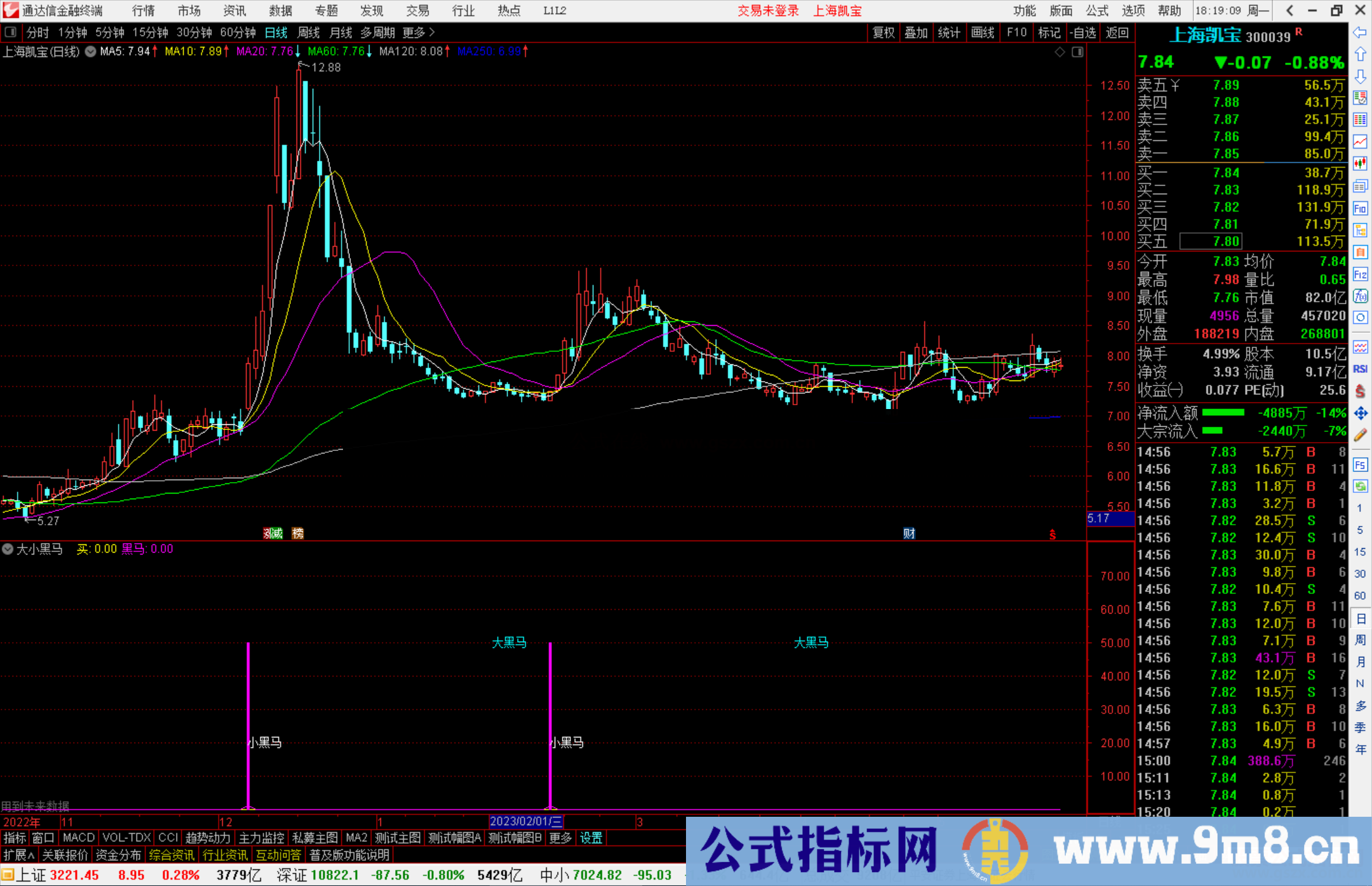 通达信大小黑马指标公式源码副图