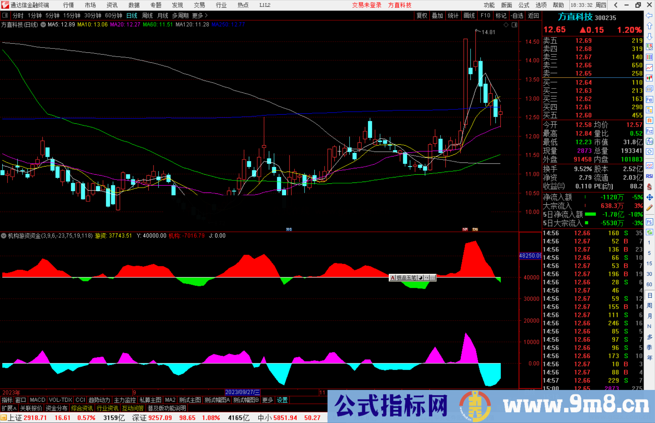 通达信机构游资资金指标公式源码副图