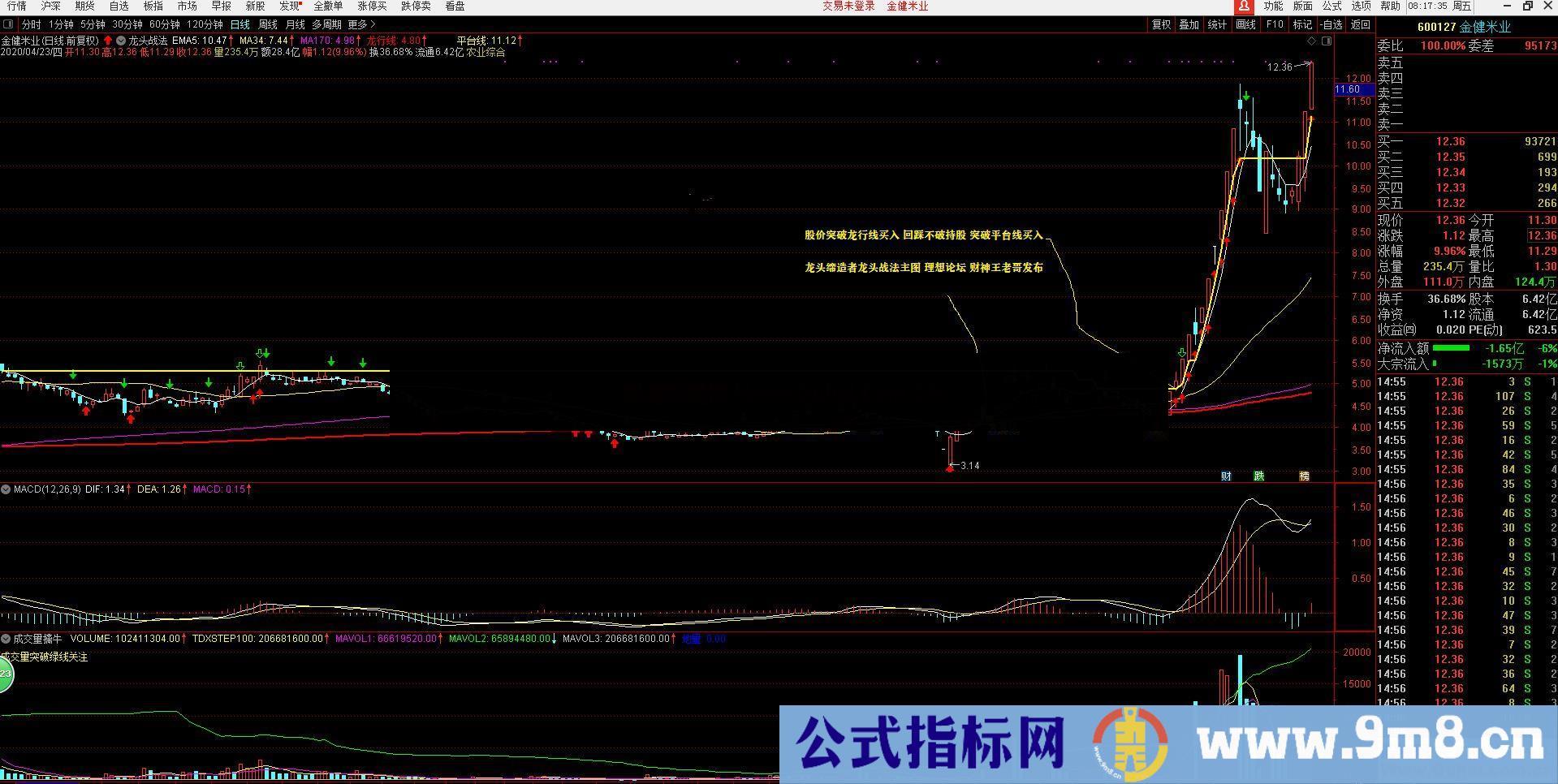 通达信龙头战法，专门捕捉强势个股龙头成功率极大（公式主源图码）使用方法