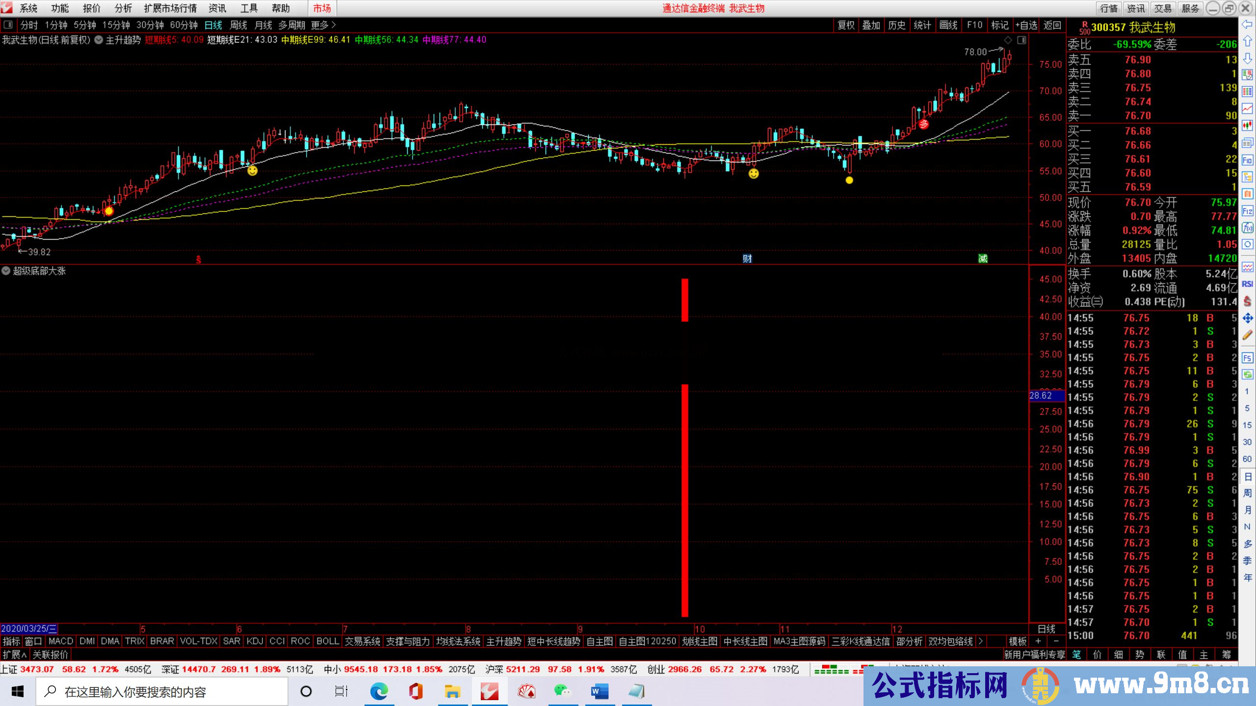 通达信超级底部大涨副图指标 源码 无未来