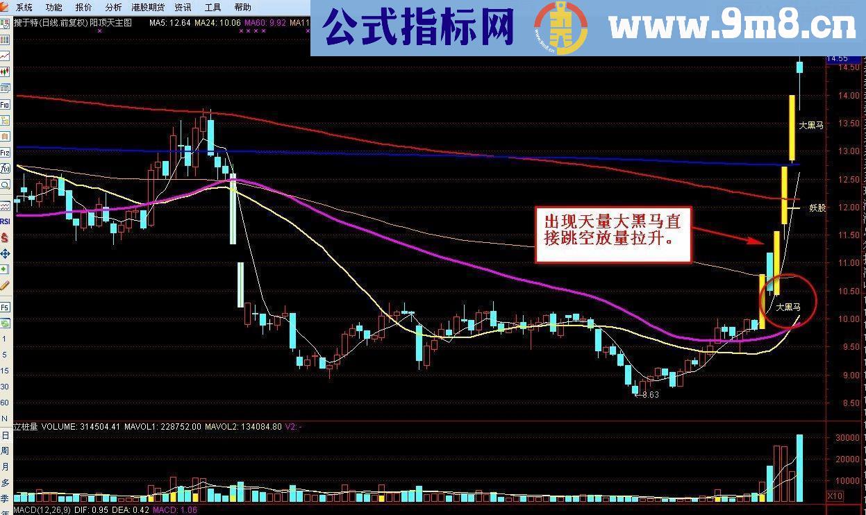 阳顶天主图战法