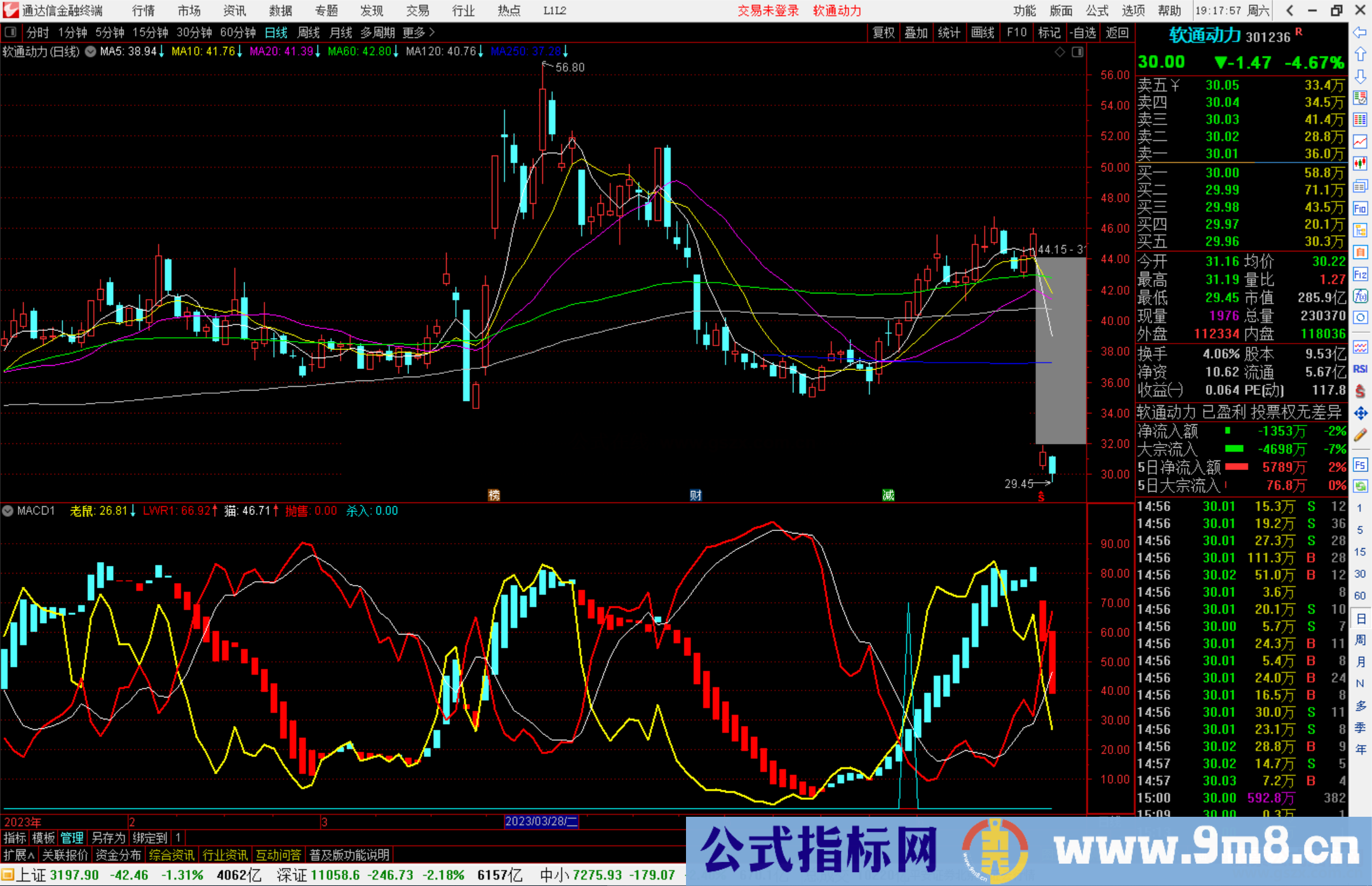 通达信韭菜专用MACD指标公式副图