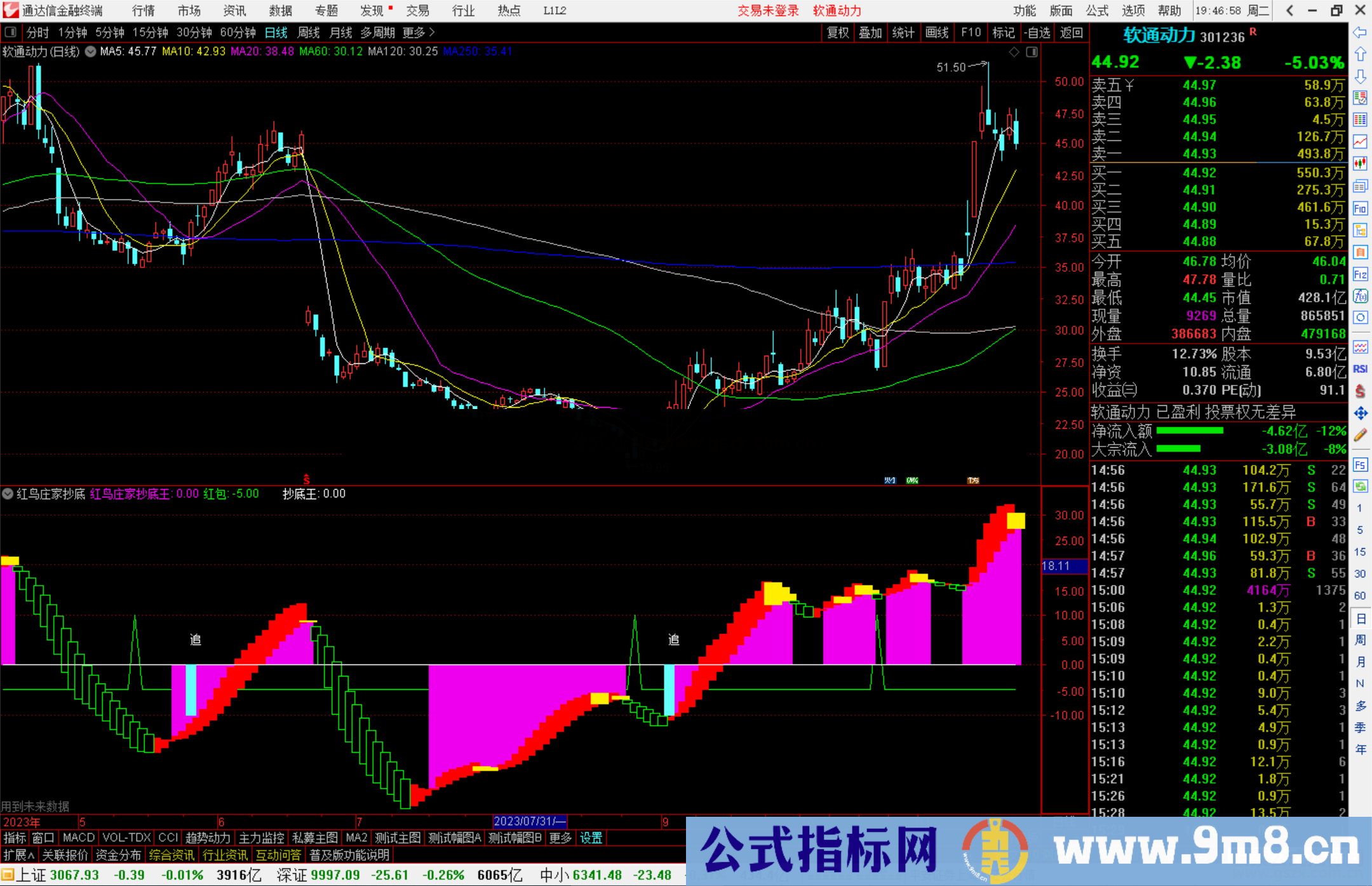 通达信红鸟庄家抄底王指标公式源码副图