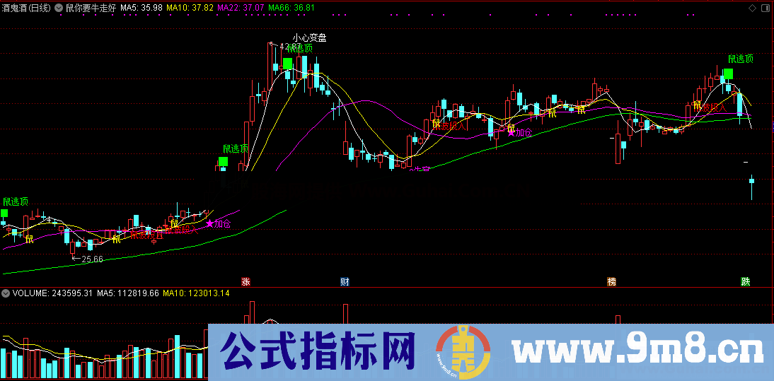 鼠你要牛走好运（指标/源码 主图 通达信）无论出击，还是逃顶超准