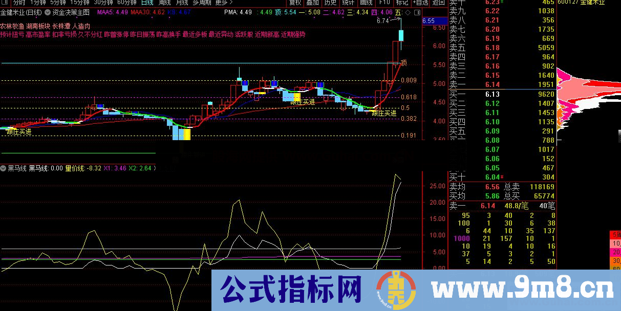 通达信量价黑马线副图指标抓牛股