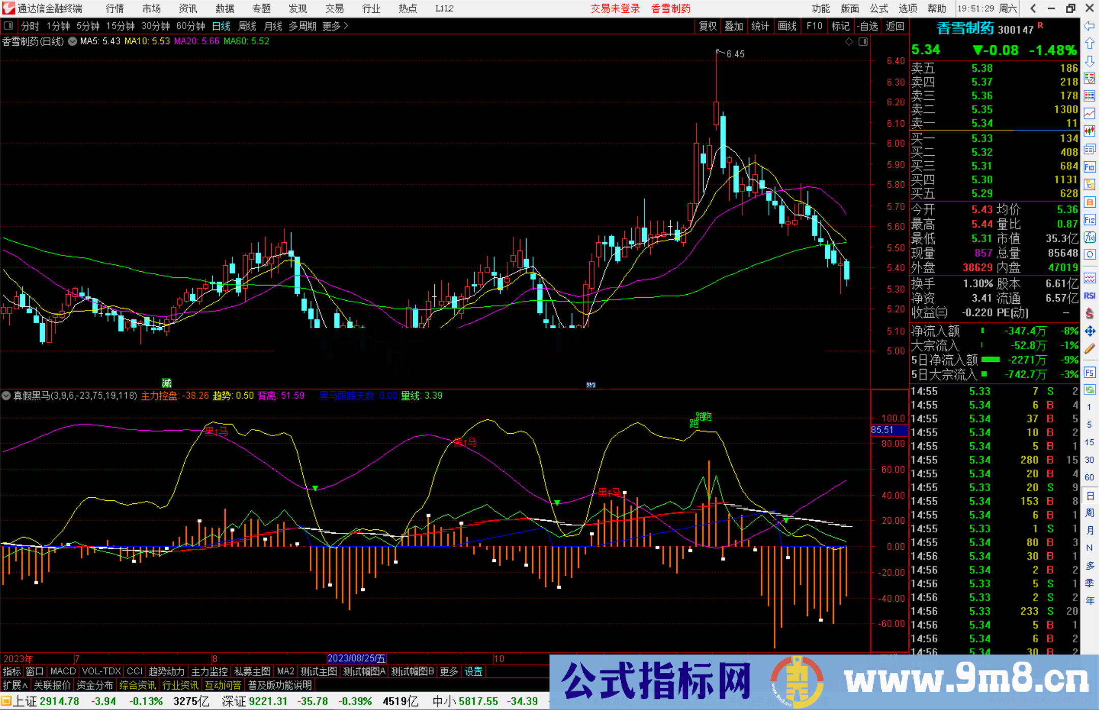 通达信真假黑马指标公式源副图