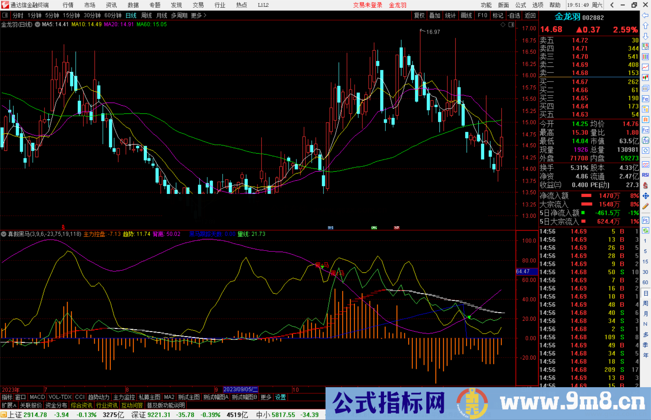 通达信真假黑马指标公式源副图