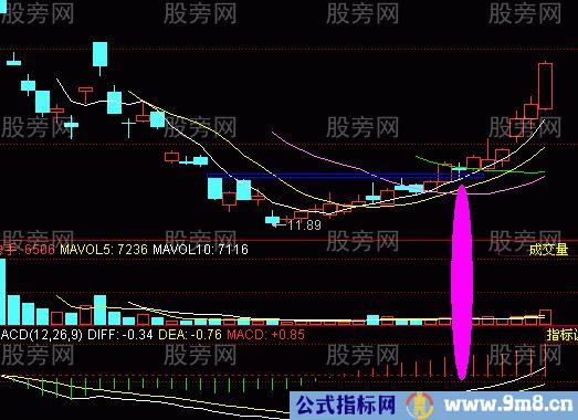 牛股的基本面和技术面共同特点