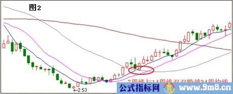 周线选出黑马要点