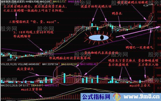 经典技术分析老鸭头