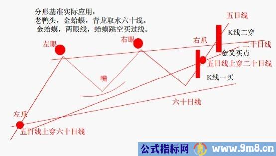 金蛤蟆图形买点