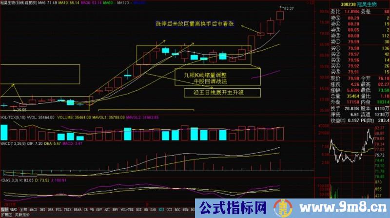 黑马主力思路解析