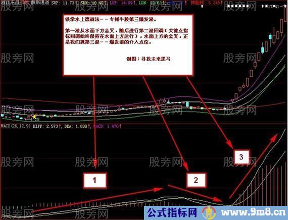 MACD的铁掌水上漂战法