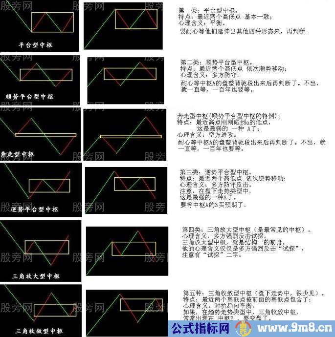 中枢形态分类