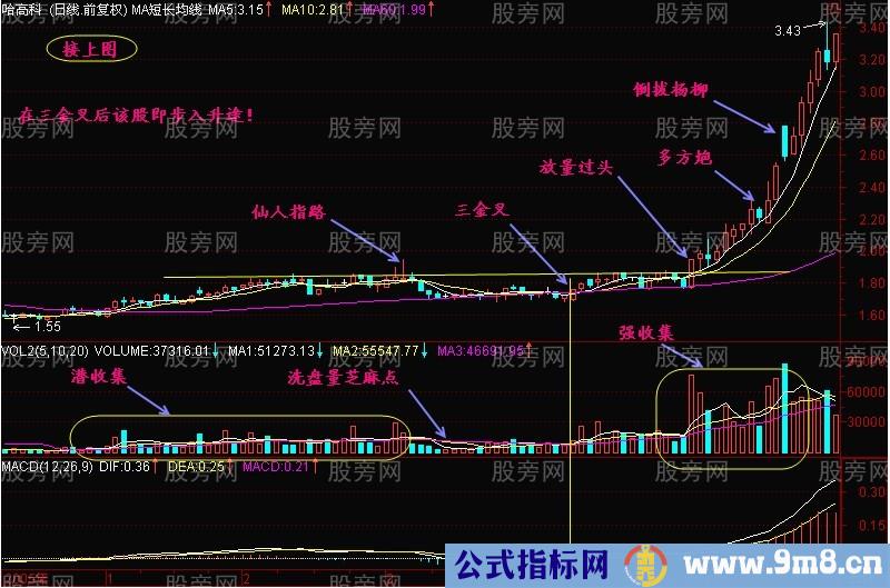 三金叉抓住上扬行情