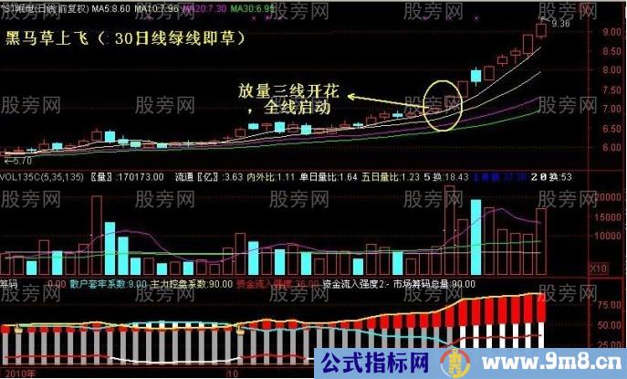 黑马草上飞形态图片讲解