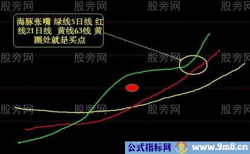 海豚张嘴形态解释