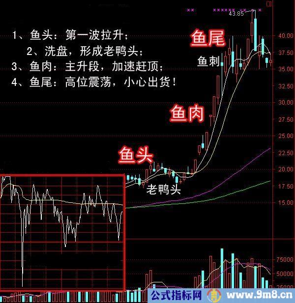 鱼头鱼肉鱼尾拉升三部曲