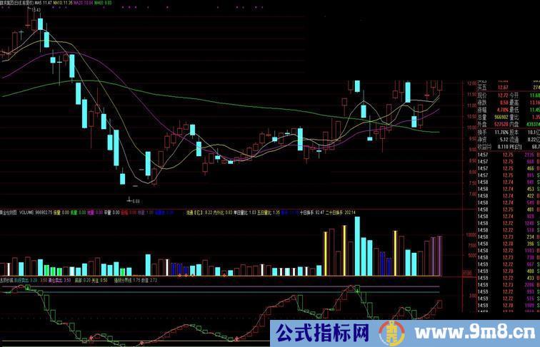 通达信【逃顶抄底指标极品逃顶】两次轻松逃顶，然后从容抄底！