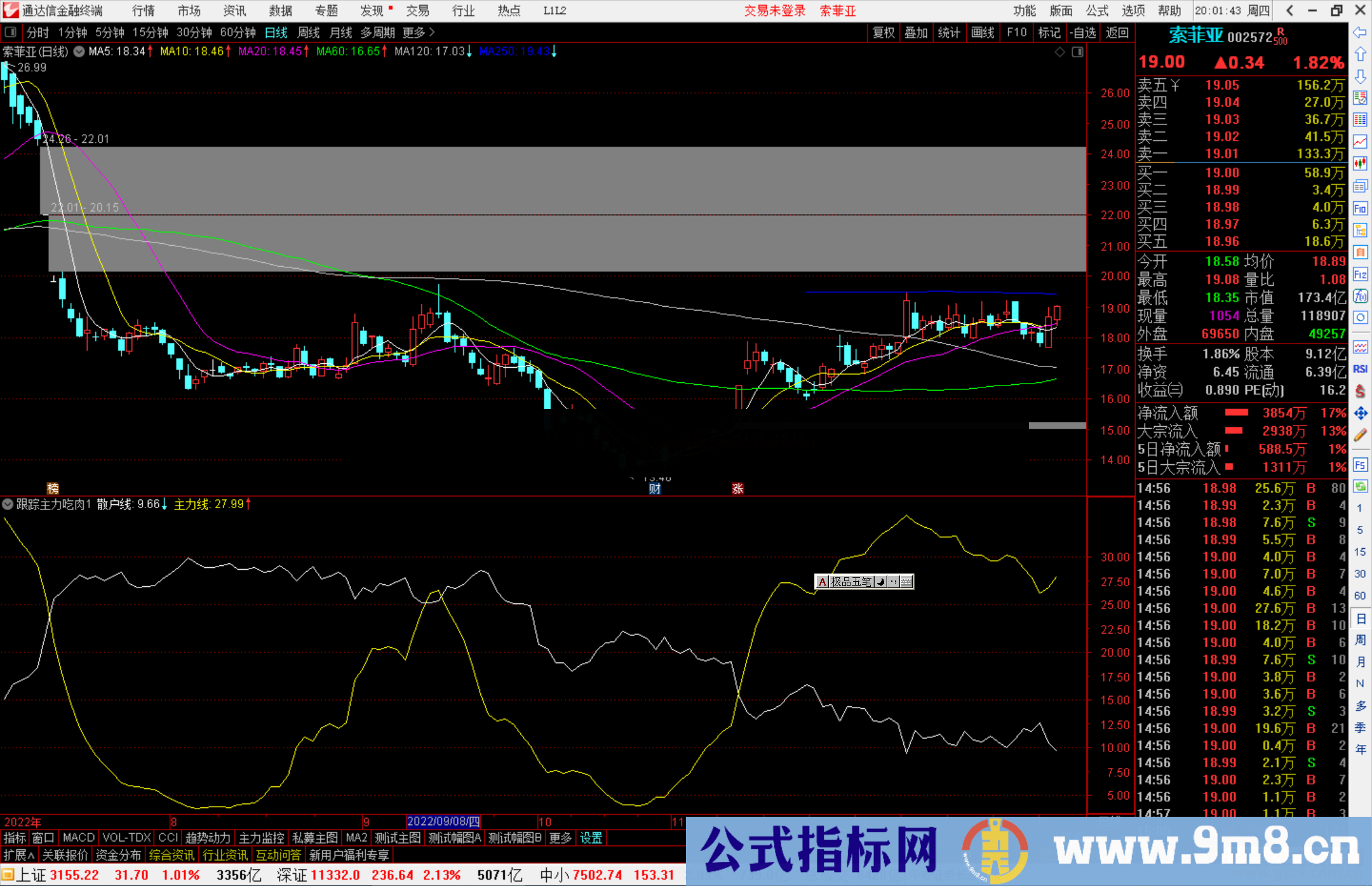 通达信跟踪主力吃肉指标公式源码