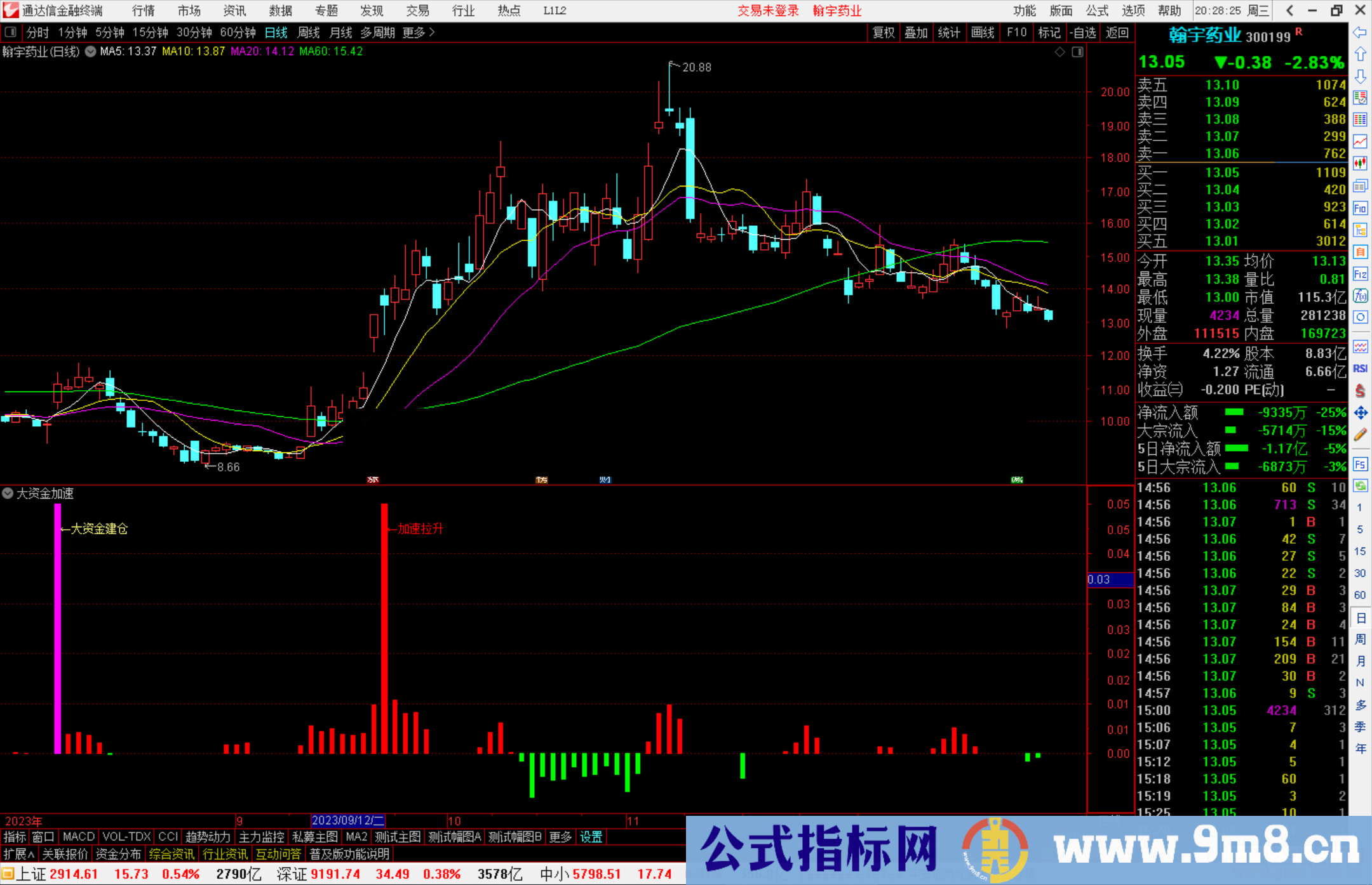 通达信大资金加速指标公式源码副图