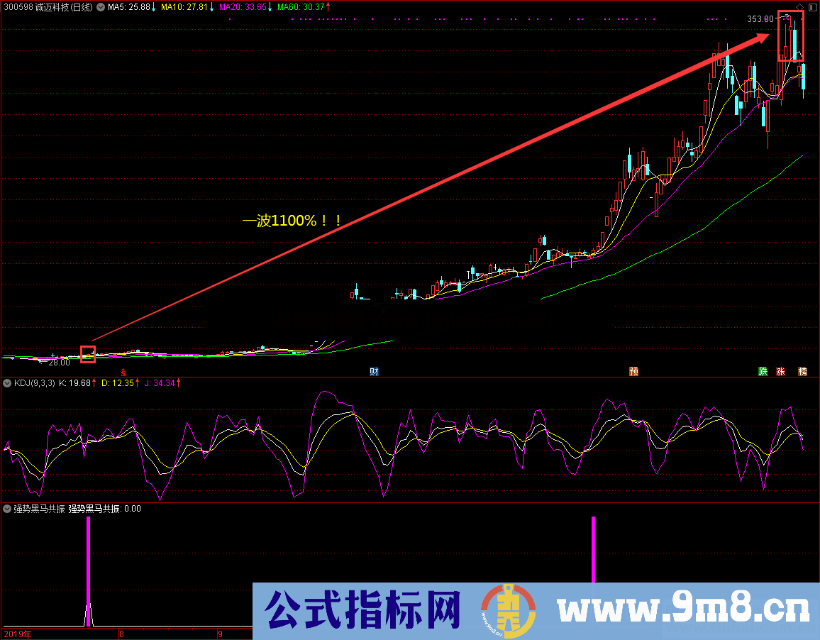 珍藏的强势黑马共振（指标/源码，副图，通达信，贴图）无未来