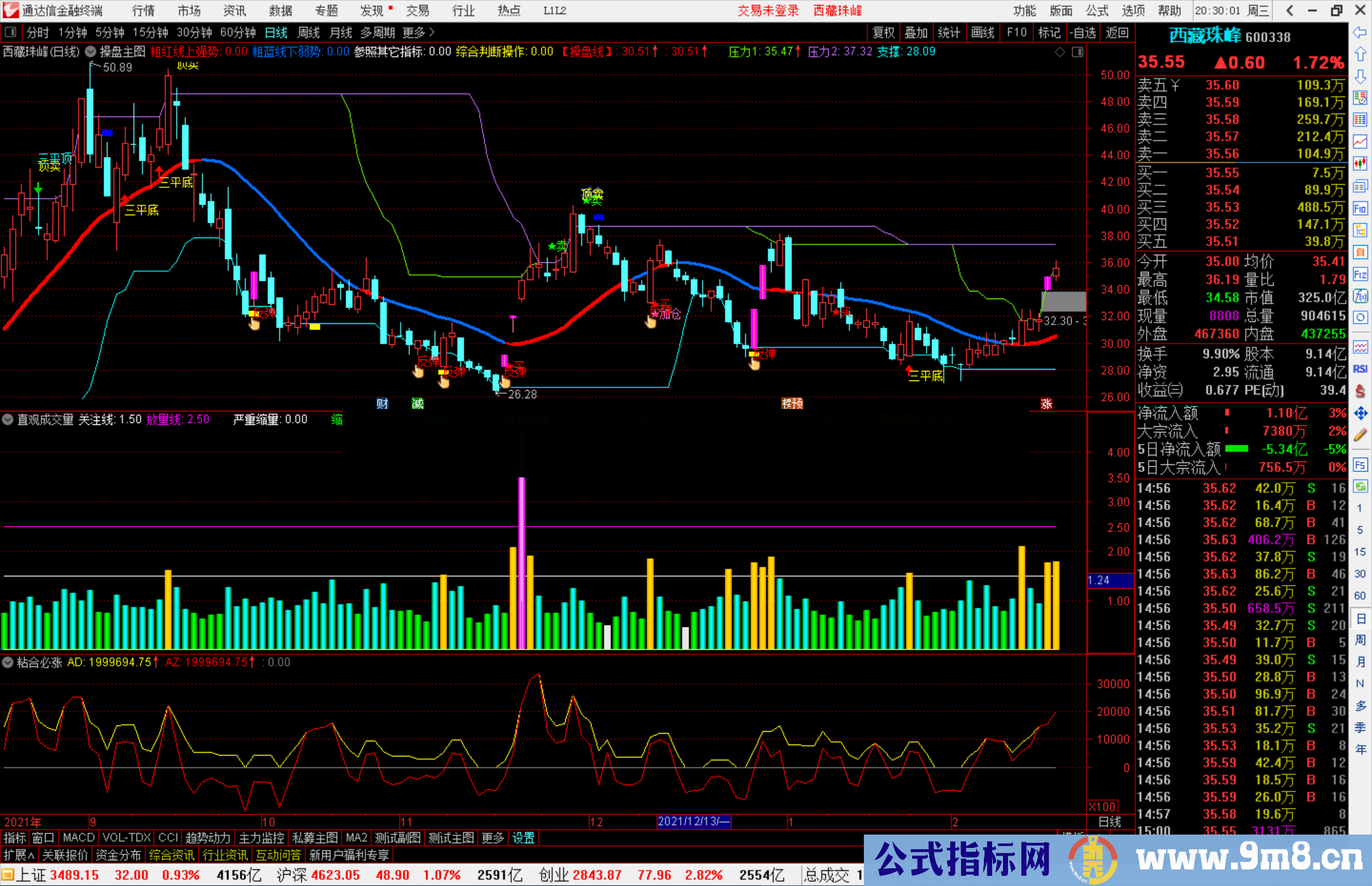 通达信直观成交量美化版副图指标公式源码 