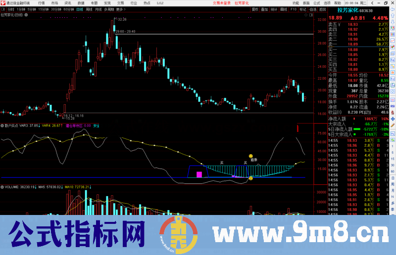 通达信散户买点公式副图源码