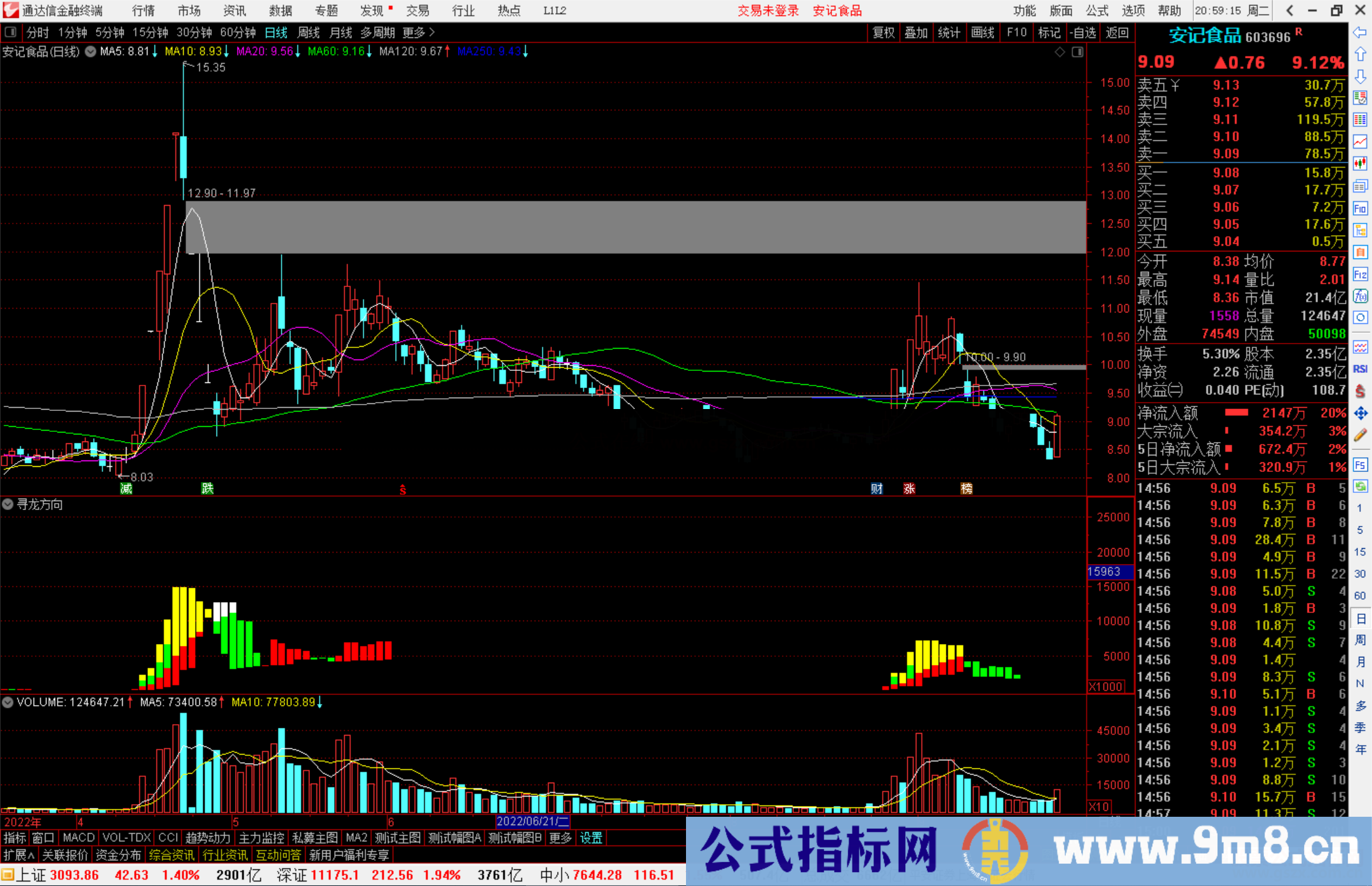 通达信寻龙方向标指标公式源码副图